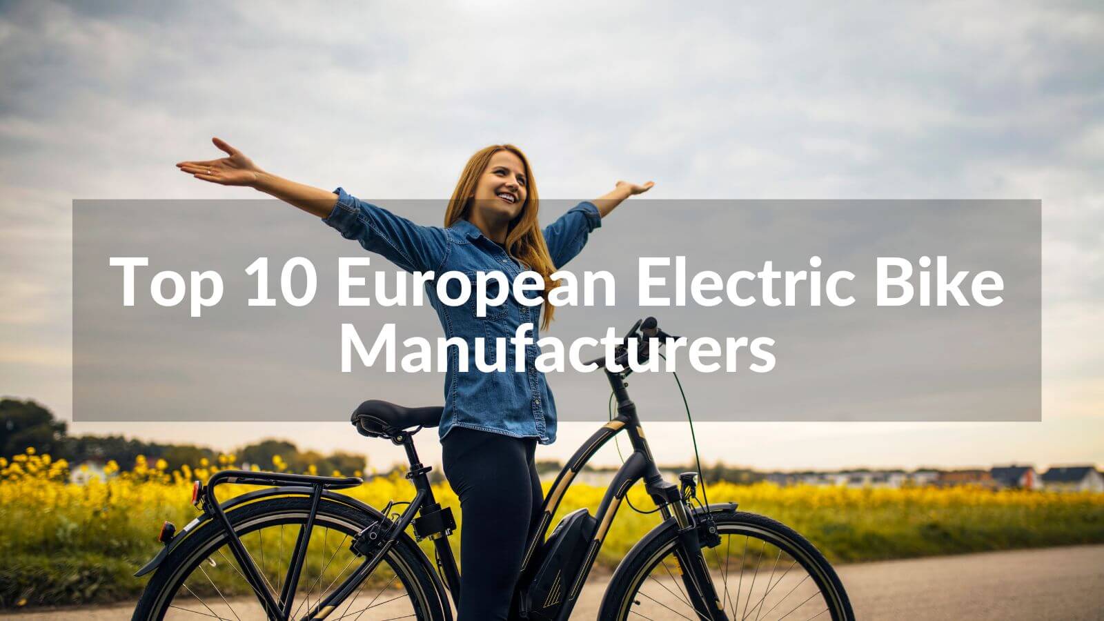 Top electric bike store companies